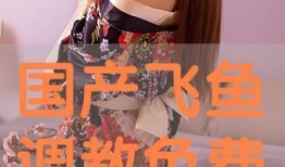 调教国产,探索新时代人才培养的实践与创新