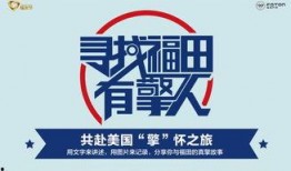 国产free,探索自由与创新的无限可能