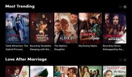 国产在线在线,引领潮流的本土创新力量