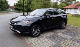 国产网,引领潮流，打造民族互联网新生态