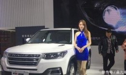 精选国产,精选国产生态的崛起与未来展望