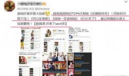 国产精品大陆在视频