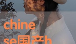 chinese国产,国产生态的崛起与未来展望