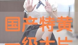 国产大片黄在线观看,揭秘热门影片背后的精彩故事