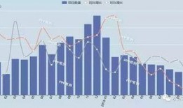 国产ppp,创新与发展之路